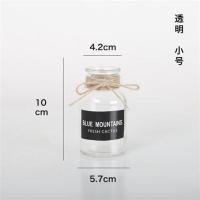 买2送一 透明玻璃花瓶北欧客厅复古家居装饰品小清新干花插花摆件 透明小号(送贴纸麻绳) [买2送一]