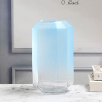 简约花瓶玻璃瓶水培花瓶插花瓶摆件绿萝水培花盆景摆件透明玻璃瓶 沙蓝色 24厘米高度中号