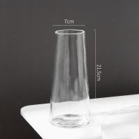 北欧ins玻璃花瓶室内客厅摆件水养鲜花干花插花高档轻奢简约瓶子 T型-透明