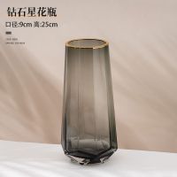 花瓶摆件客厅插花玻璃瓶小北欧透明简约轻奢水养鲜花富贵竹百合花 1225钻石-烟灰描金