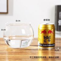 玻璃水培植物花瓶花盆 透明圆球水养绿萝花瓶鱼缸器皿大号容器 12圆球送[定植篮] 中等