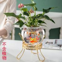 家居创意铁艺玻璃水培花盆栽水养植物绿萝客厅摆件 铁艺玻璃盆-小号+送定制篮+送水草