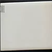 厂家直销60*240釉面砖 外墙砖 亮光砖 色砖 平面砖别墅自建房瓷砖 60*240 301