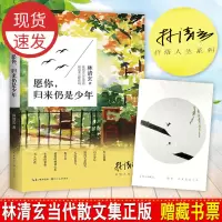 林清玄散文集 愿你归来仍是少年林清玄的书籍现当代文学散文集 愿你归来仍是少年