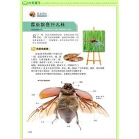 少儿必读金典 昆虫百科 精装彩图版 中小学生必读经典全书