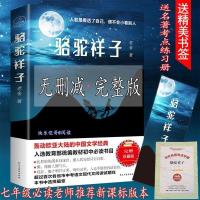骆驼祥子老舍原著正版完整版 海底两万里 七年级下册必读课外阅读 推荐完整版(无删减) 骆驼祥子完整版(民主)