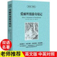 爱丽丝梦游仙境英文版漫游奇境中英文双语书籍读物英汉对照小说 读名著学英语:爱丽丝漫游奇境记