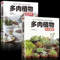 2册 多肉植物完全图鉴+多肉植物这样养 多肉植物组合盆栽绿植 常 如图