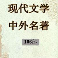 32G内存卡当代文学现代小说评书卡插卡音响通用国内外名著小说卡 32GB