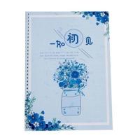 女生手写体清秀漂亮字体钢笔字帖大学生成人行楷行书江湖书法临摹 浅蓝色