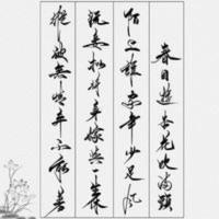 潇洒大气飘逸软笔楷行草书法临摹字帖学生速成连笔秀丽笔成人字帖 成人手写体秀丽笔字帖