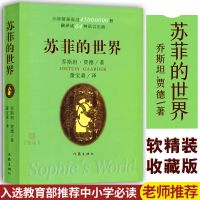 苏菲的世界正版英文原版中文译本原著初中小学生八年级下课外阅读