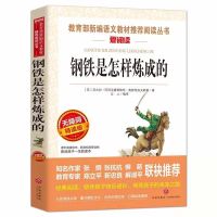钢铁是怎样炼成的傅雷家书正版原著名人传苏菲世界八年级下册必读 钢铁是怎样炼成的[爱阅读]