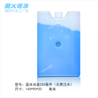 小号冰晶盒 空调扇制冷 保温箱蓄冷冰盒 冰包宠物降温 可循环冰板 250ml(150*100*20) 蓝冰冰盒(无需注水