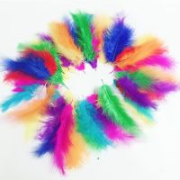 透明球亚克力塑料球空心圆球圣诞球店铺布置吊球创意圣诞装饰挂饰 彩色羽毛1包50根