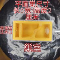 宠物蚂蚁巢活体蚂蚁工坊蚂蚁平面巢混凝土石膏巢好看好用的蚂蚁巢 单个小平面无活动区