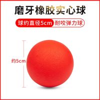 宠物玩具耐咬磨牙狗狗玩具球金毛法斗泰迪犬幼犬中大型犬发声玩具 普通款实心球小号