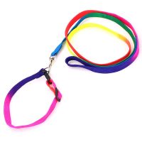 [2-30斤适用]宠物七彩圆绳牵引 胸背带狗绳狗链 胸背七彩牵引绳 七彩项圈款扁绳牵引绳 S(2-7斤)