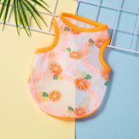 狗狗衣服夏季薄款透气网防晒服防掉毛猫咪衣服泰迪衣服幼犬衣宠物 水果背心[橘子] XS