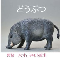 儿童仿真实心野生动物模型玩具狮子老虎河马犀牛大象长颈鹿套装 实心野猪