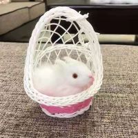 迷你吊篮提篮仿真兔子猫咪动物模型公仔玩偶儿童过家家玩具摆件 兔子
