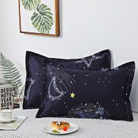 枕头套装学生宿舍枕头单人枕头套枕头芯护颈中枕情侣装可拆洗耐用 星月流星[信封款] 1个枕套40*60[不含枕芯]