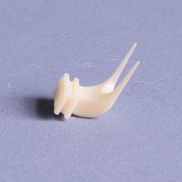 鸟笼用品配件塑料竹子刻福水果叉鸟用绣眼水果叉鹦鹉八哥画眉鸟笼 小号塑料果叉 1个