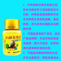 鸟用36金维他电解多维液体饲料亮毛增强抵抗力代替水果蔬菜抗病 1瓶36金维他