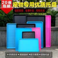 宠物狗笼托盘接尿盘塑料加厚鸟笼接粪盘狗厕所鸡鸭笼底盘兔笼便盆 黑色 长34*宽26*高3CM