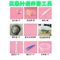 活体小蚕幼虫+新鲜桑叶+套装养蚕工具蚕宝宝套装学生七彩蚕金丝蚕 整套工具1份