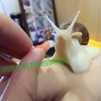 蜗牛活体宠物蜗牛大蜗牛宿舍小蜗牛迷你宠物蜗牛观赏学习蜗牛宠物 标准款 4-5CM左右 2只