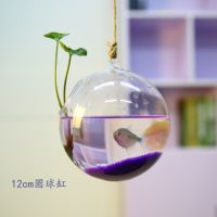 悬挂小鱼缸迷你缸办公桌面创意玻璃小型金鱼缸水族箱 家用斗鱼缸 单独12鱼缸1个