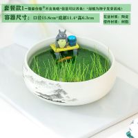 微景观生态龙猫垂钓办公室桌面盆栽紫砂陶瓷鱼缸种子创意水培植物 陶瓷缸-款1-中号