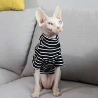 斯芬克斯德文矮脚无毛猫衣服秋冬羊羔毛保暖加厚马甲条纹打底 黑色打底 S