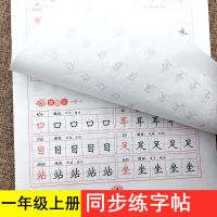 一年级语文同步训练字帖人教版小学写字课课练专项练字书上册下册 一年级上册 字帖