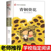 全套2册 青铜葵花小英雄雨来 完整版管桦曹文轩儿童文学正版原著 青铜葵花