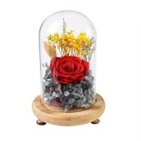 永生花玫瑰情人节礼物品情侣男女表白玻璃罩创意发光礼盒生日礼物 红色三角款