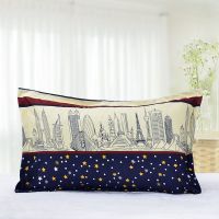 枕套一对装成人枕头套简约卡通加厚学生宿舍单人双人枕皮枕芯套 都市星空 枕套1个