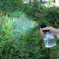 喷壶浇花神器喷雾器洒水壶小喷壶多功能家用长嘴浇水壶园艺喷壶头 小白壶250毫升1个装[消毒补水]