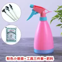 加厚洒水壶大浇花喷壶种菜浇水壶长嘴花洒壶园艺浇花壶家用淋水壶 0.5升有喷头有盖子(送工具肥料