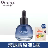 一叶子玻尿酸原液精华液紧致细肤深层补水收缩毛孔护肤品女30ml 1瓶30ml玻尿酸+送一片一叶子面膜