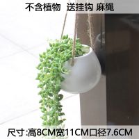 多肉花盆陶瓷特价清仓垂吊壁挂墙壁吊兰盆客厅墙上装饰绿萝花盆瓶 圆肚垂吊(小号)