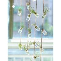 植森系小瓶子培植物花器绿玻璃瓶装饰挂件吊饰门帘水挂瓶阳台花瓶 3串一套共27个瓶