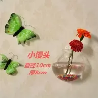 壁挂透明水培玻璃花瓶悬挂鱼缸创意家居墙壁装饰品墙上花盆 小馒头+配件不含植物