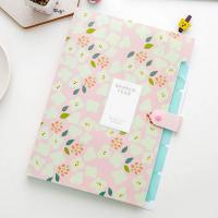 卡通风琴包a4文件夹卷子多层插页学生用可爱活页试卷透明收纳夹 粉色[5格]