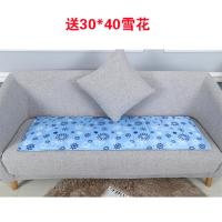 夏季冰垫床垫沙发坐垫椅垫降温神器冰凉垫宠物学生宿舍单人冰凉席 雪花 [不送]45*130cm