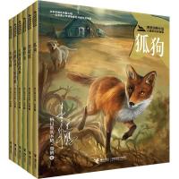 正版 黑鹤动物小说儿童彩绘拼音版：黑眼睛+ 雌野兔+雪地鸟群+穿越高速公路的狼+大熊塔的故事+狐狗 保护动物 保护自然