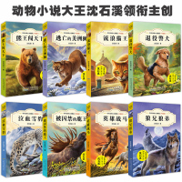 全8册沈石溪中外动物小说精品(第四辑) 狼兄狼弟流浪猫王 9-12岁儿童文学成长励志三四五六年级小学生课外阅读书籍 儿
