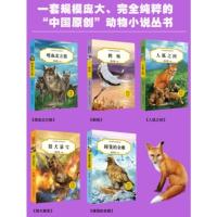 全套5册中国沈石溪动物小说品藏书系 撞笼的金雕喋血北方狼9-12-15岁青少年儿童读物课外阅读 小学生一二三四年级课外书