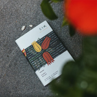 花未眠 经典全新版精装 诺贝尔文学奖得主川端康成传世散文集 影响村上春树 莫言 余华 贾平凹等作家创作思想的关键文集 新